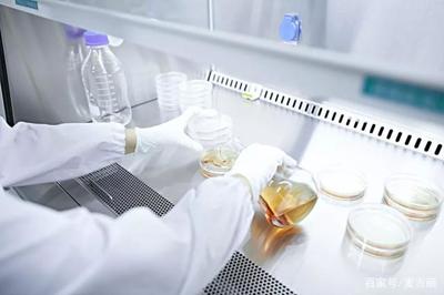 媒體組團探秘麥吉麗研發工廠，揭秘素顏之美的科技密碼