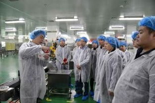 上海化妝品代加工 產業鏈核心與研發創新的融合