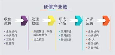 征信行業(yè)雛形初現(xiàn) 數(shù)據(jù)處理服務(wù)驅(qū)動(dòng)下的四大發(fā)展趨勢(shì)